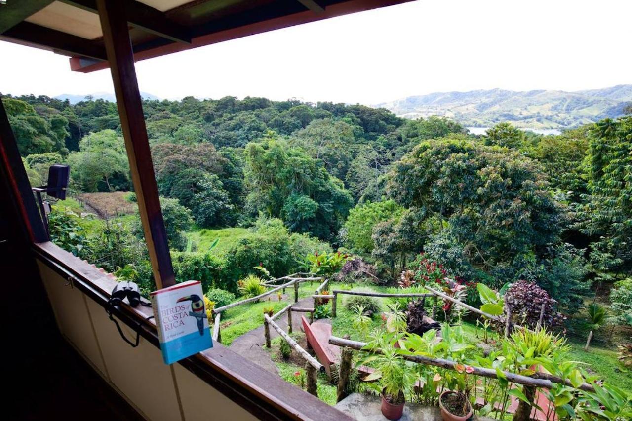 Toucan Lane Hotel And Restaurant 纽沃阿雷纳尔 外观 照片