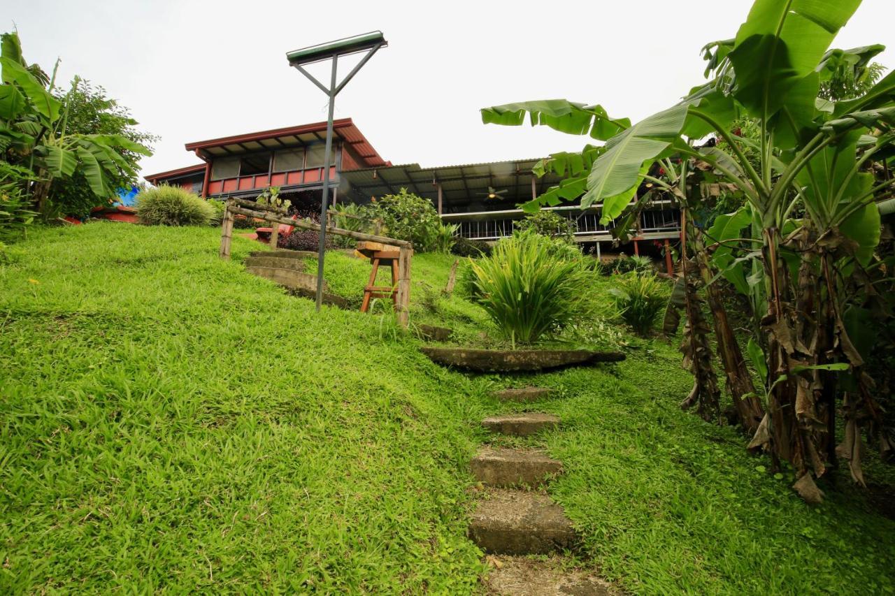 Toucan Lane Hotel And Restaurant 纽沃阿雷纳尔 外观 照片